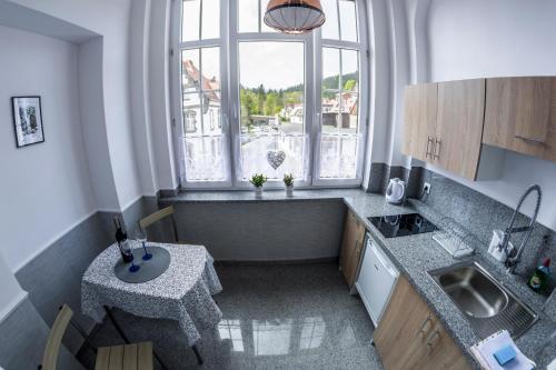 Η κουζίνα ή μικρή κουζίνα στο Apartamenty pod Jedynka - Jednosci Narodowej 3/1