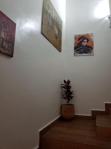 a staircase with three pictures on the wall and a potted plant at Dar Surf in Taghazout