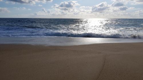 a sandy beach with the ocean in the background at Casa dos Tios in Fátima