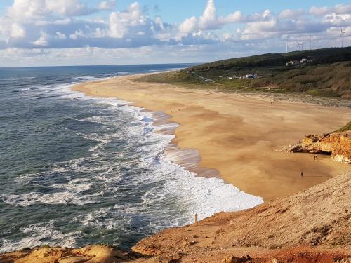 an aerial view of a beach with the ocean at Casa dos Tios in Fátima