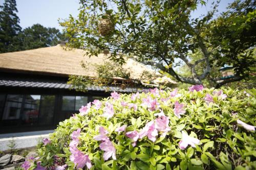 a bush of pink flowers in front of a building at Yufuin Lamp no Yado in Yufuin