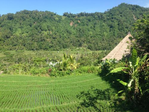 a lush green field with a thatch roof on a hill at Nirarta Center For Living Awareness in Sidemen