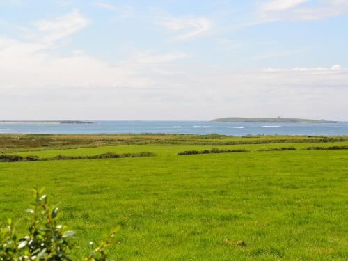 a green field with the ocean in the background at Flynn's Cottage in Miltown Malbay