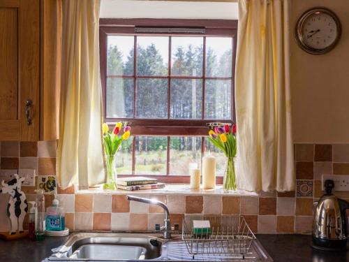 a kitchen sink with vases of flowers in a window at Shepherds' Retreat in Greencastle