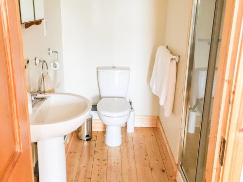 łazienka z toaletą i umywalką w obiekcie The Owl's Hoot w mieście Greenfield Cross Roads