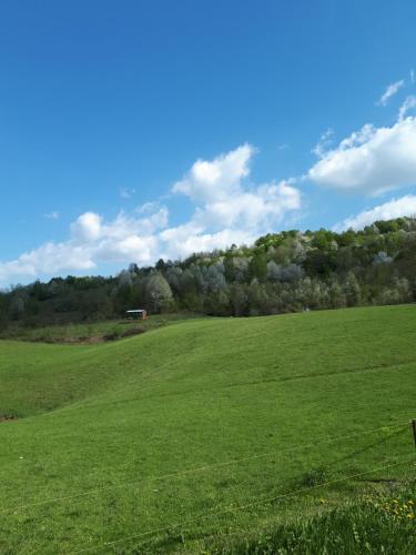 Gallery image of Guesthouse Andja in Smoljanac