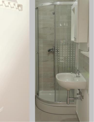 a bathroom with a shower and a sink at Green Eden in Gornji Zvečaj