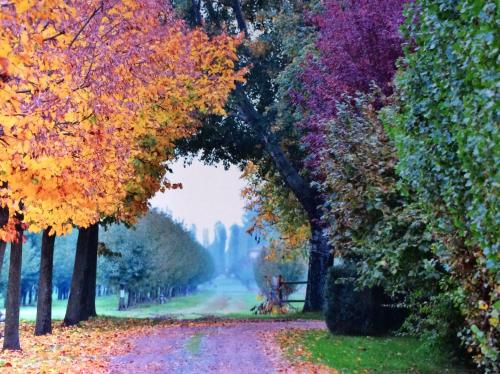 a path in the park with trees with autumn leaves at Agriturismo La Lupa in Madonna della Provvidenza