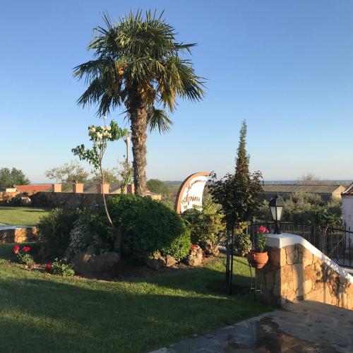 a palm tree in the yard of a house at Agnanti in Ávdhira