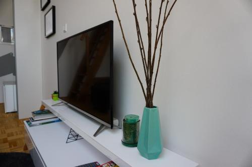 a tv sitting on a table with a vase with sticks at Krona Apartments in Bovec