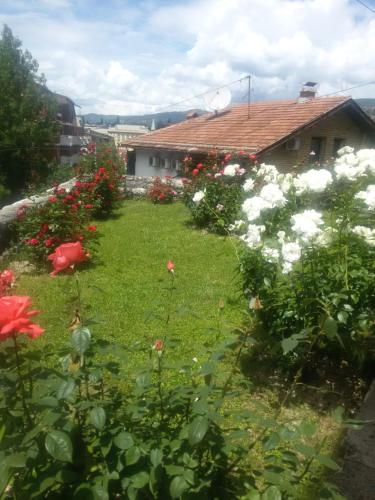 Billede fra billedgalleriet på Guest house Ema i Sarajevo