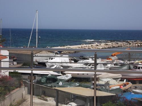 a group of boats docked in a marina at Suliccenti b&b Marzamemi in Marzamemi