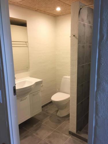 a bathroom with a white toilet and a sink at Meldbjerg in Stouby