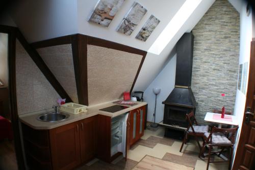 cocina con fregadero y fogones en Apartamenty Centrum Zakopane, en Zakopane