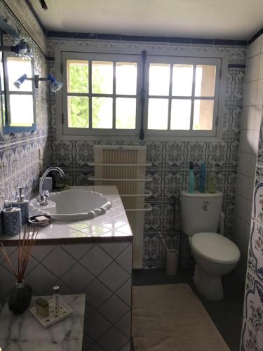 a bathroom with a tub and a toilet and windows at Maison LES BLEUETS in Le Perréon