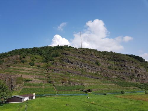 a grassy hill with a radio tower on top of it at Ferienhaus Müller in Unkel