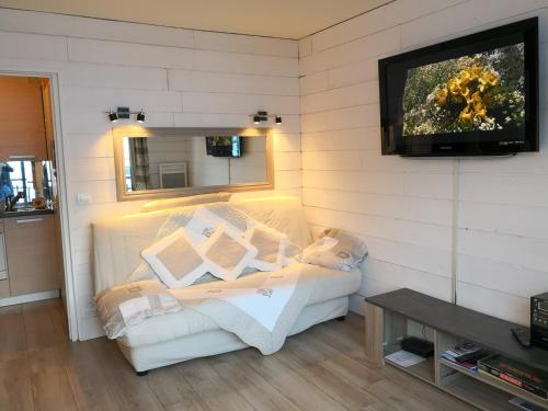 TV a/nebo společenská místnost v ubytování Joli Studio à la Montagne