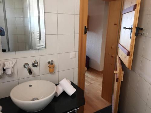 a bathroom with a sink and a mirror at Hotel Meielisalp in Leissigen
