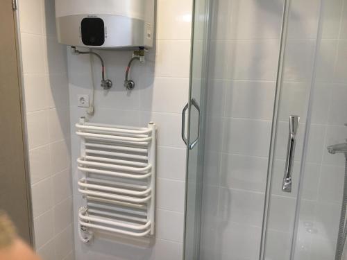 a shower with a glass door and a towel dispenser at Family or Group Apartment in Silent Center in Riga