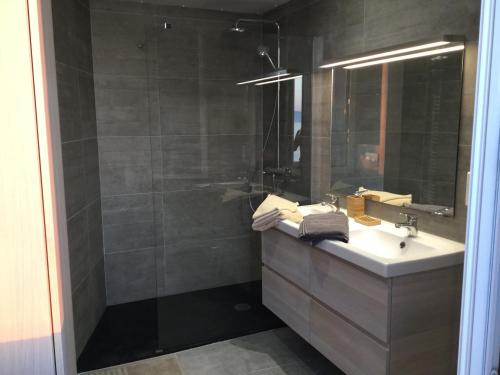 une salle de bain avec un lavabo et une douche avec un miroir dans l'établissement Marseille Malmousque Cabanon 45 m2 sur l'eau, à Marseille