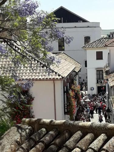 Los Tejares del Alcazar