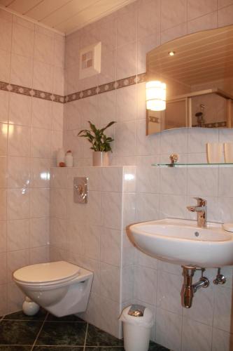 La salle de bains est pourvue d'un lavabo et de toilettes. dans l'établissement Schmiedbauernhof, à Fuschl am See