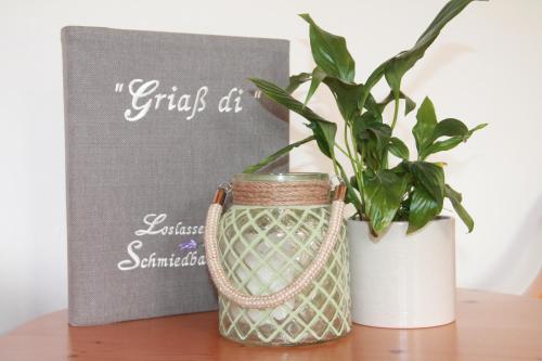 a vase and a plant on a table at Schmiedbauernhof in Fuschl am See