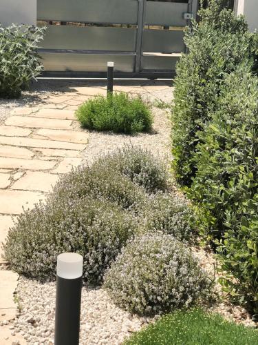 a garden with bushes and a pole in the middle at Appartamenti San Lorenzo Marzamemi Cecilia in San Lorenzo