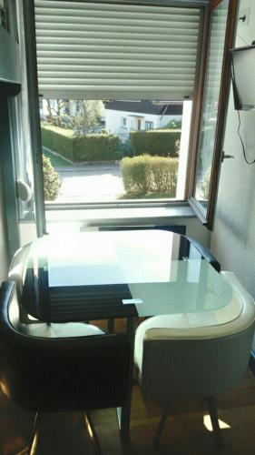 studio des écureuil