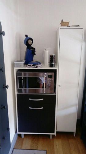 une petite cuisine avec un micro-ondes et un réfrigérateur dans l'établissement studio des écureuil, à Gérardmer