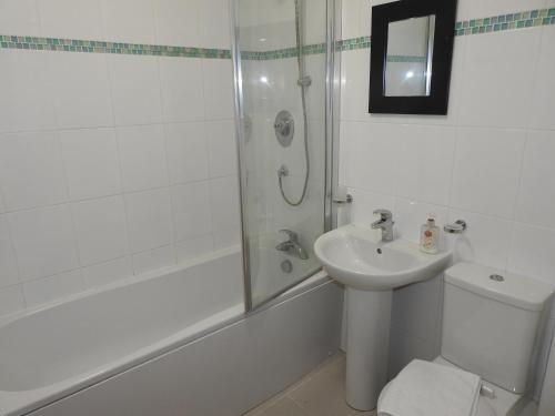 a bathroom with a toilet and a sink and a shower at Princes Dock Chambers 7 in Hull