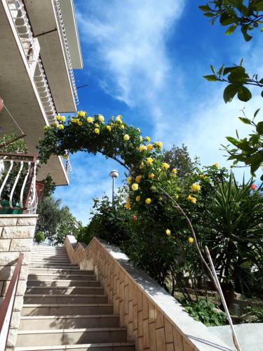 馬卡爾斯卡的住宿－Apartment Silvia，楼梯上一拱,有黄色的花朵