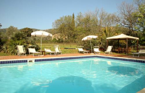a swimming pool with chairs and umbrellas at Casale Vigna Carbona in Gavorrano