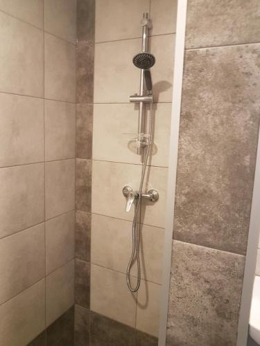 a shower with a shower head in a bathroom at Noclegi u Andrzeja in Gdańsk