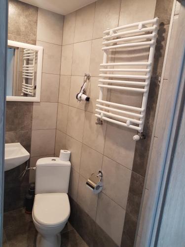 a bathroom with a toilet and a sink at Noclegi u Andrzeja in Gdańsk