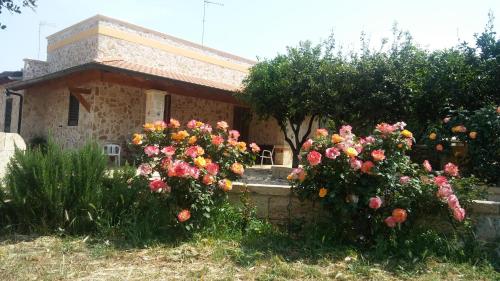 Casa Vacanze Abbazia في غالاتوني: منزل صغير وامامه زهور