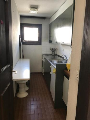 a small kitchen with a sink and a toilet at chesa allegra app g in Celerina