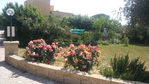 Casa Vacanze Abbazia في غالاتوني: حديقة بها زهور وردية في جدار حجري