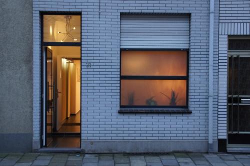 dos ventanas en una pared de ladrillo blanco con reflejo de una planta en All Inn Holiday Home, en Gante