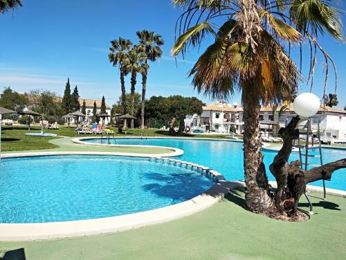 a swimming pool with a palm tree next to it at Appartement Lago Jardin in Torrevieja