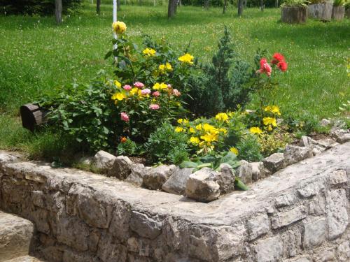 Κήπος έξω από το Guest house Jandric
