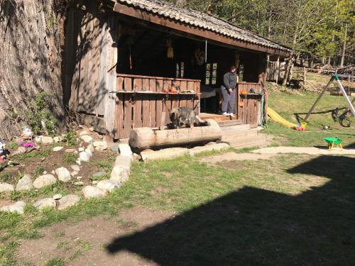a dog sitting on the porch of a house at Gasserhof Aicha in Naz-Sciaves