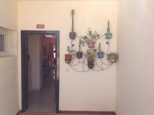 a hallway with potted plants on a wall at Appartement El Bahia Saidia destiné uniquement aux couple mariés, célibataires s'abstenir in Saidia 