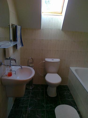 a bathroom with a toilet and a sink and a tub at Chata Monika in Prosiek