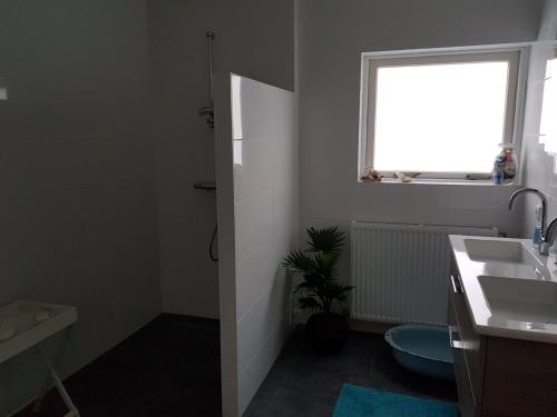 a bathroom with a sink and a toilet and a window at B&B Loon in Loon