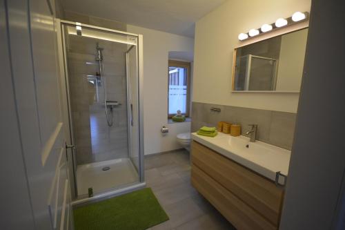 a bathroom with a shower and a sink and a toilet at Ferienwohnung PARDI in Lenz