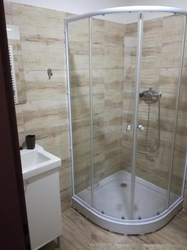 a shower with a glass enclosure in a bathroom at Apartmán Prefa in Benešov nad Ploučnicí