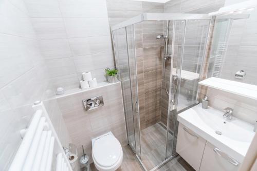 a bathroom with a shower and a toilet and a sink at Anita's Studio Apartments in Ljubljana