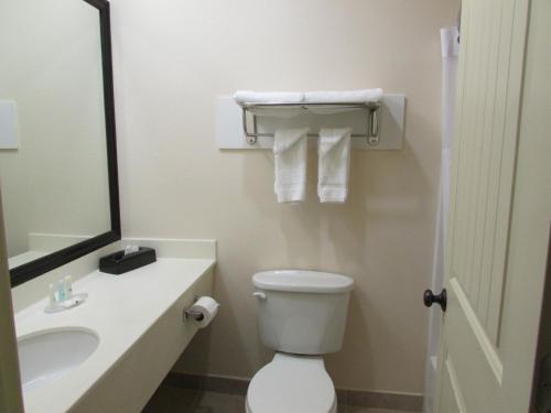 Phòng tắm tại Quality Inn Evanston near Wyoming Downs
