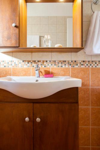 a bathroom with a white sink and a mirror at Aria Apartments in Apolpaina